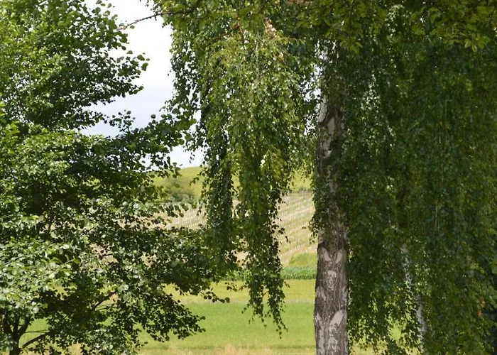 Fruehstueckspension Krump Bed and Breakfast Bad Waltersdorf